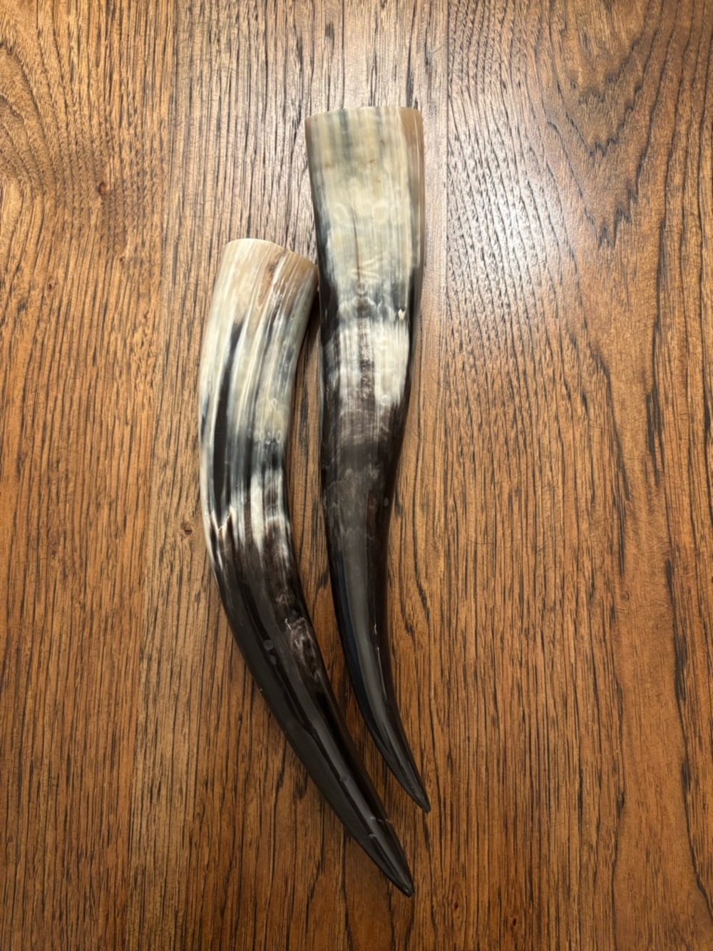 Polished Ox Horns Wall Decor Pair Decorative Black Cream Organic Modern Ranch - Picture 4 of 12